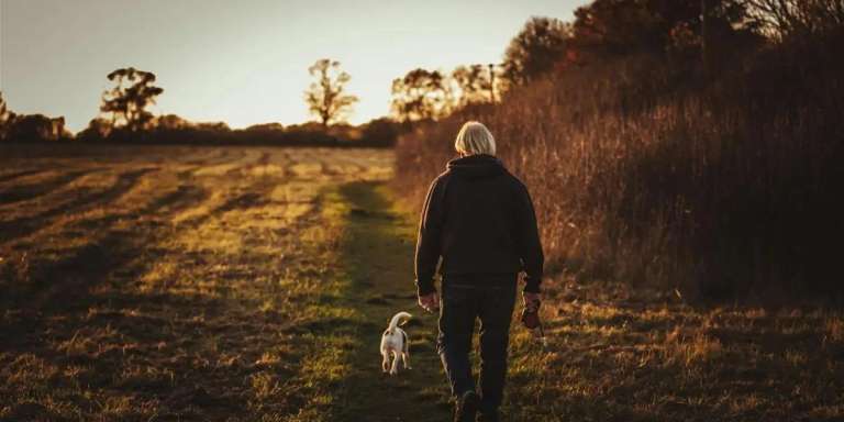 Spazierengehen ist gesund, fördert die Gemeinschaft und macht Spaß! 